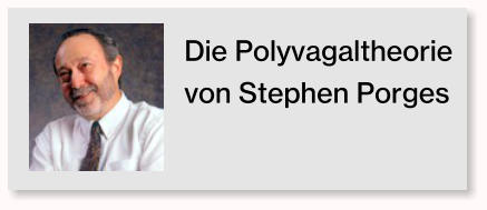 Die Polyvagaltheorie von Stephen Porges